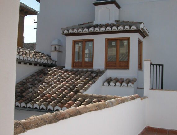 Rotación deDSCN0017